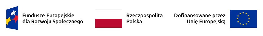 loga unijne i polska flaga